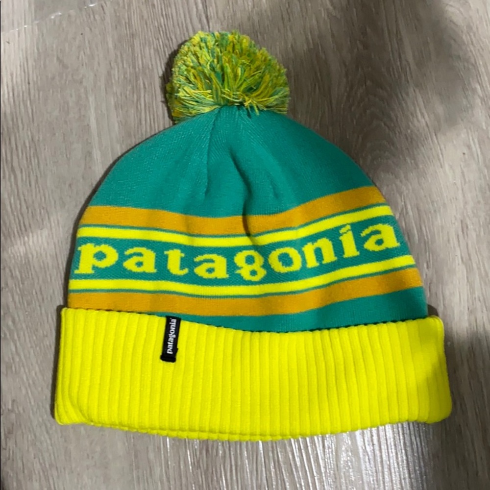 NWOT Patagonia beanie